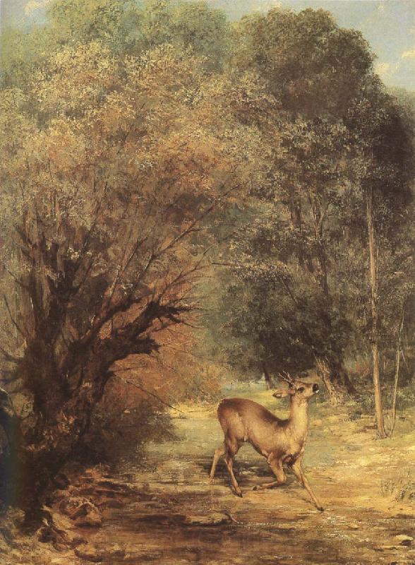 Gustave Courbet Deer France oil painting art